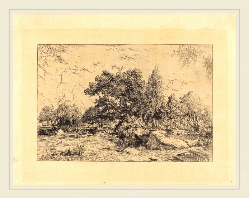 Théodore Rousseau (French, 1812-1867), Vue du Plateau de Bellecroix, 1848-1849, etching
