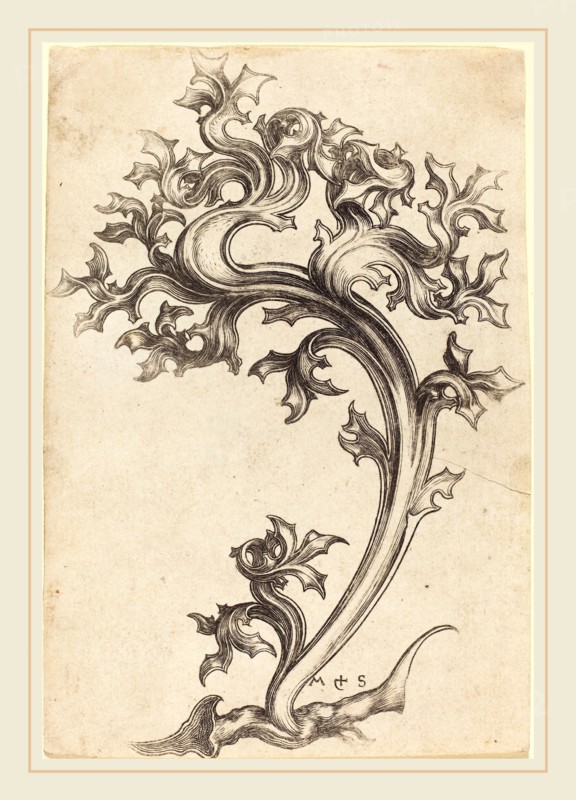 Martin Schongauer (German, c. 1450-1491), Thistle Ornament, engraving