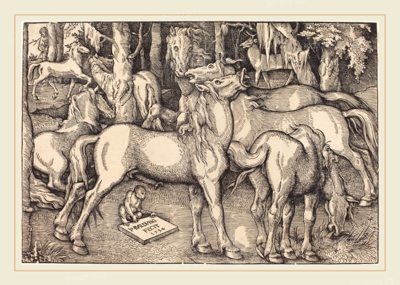 Hans Baldung Grien (German, 1484-1485-1545), Group of Seven Horses, 1534, woodcut