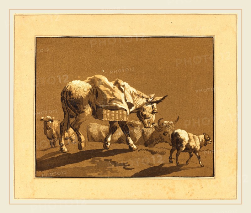Johann Gottlieb Prestel after Joseph Wagner (German, 1739-1808), Donkey, published 1782, 4-color aquatint