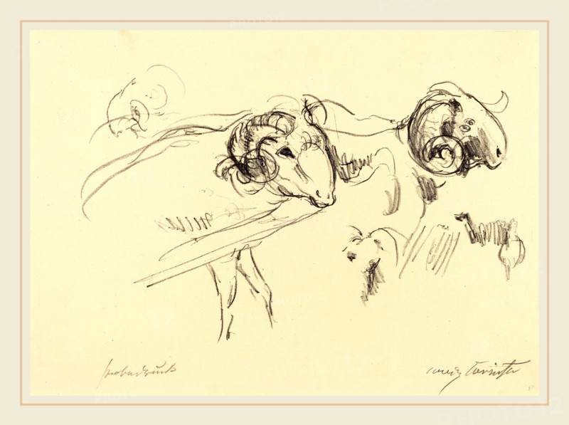 Lovis Corinth, Rams (SchafbÃ¶cke), German, 1858-1925, 1912, lithograph in black on laid paper