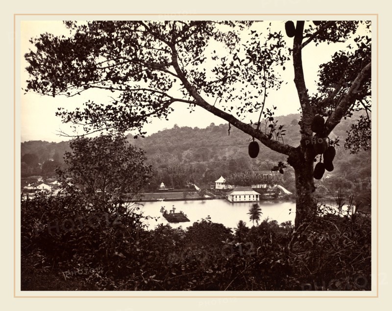 Samuel Bourne (British, 1834-1912), A Peep from Upper Lake Road showing Temple and Island with Park, fruit tree in foreground, c.1865, albumen print