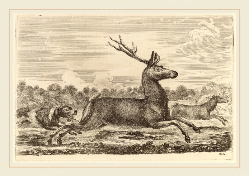 Stefano Della Bella (Italian, 1610-1664), Deer Chased by Two Dogs to the Left, etching on laid paper [restrike]
