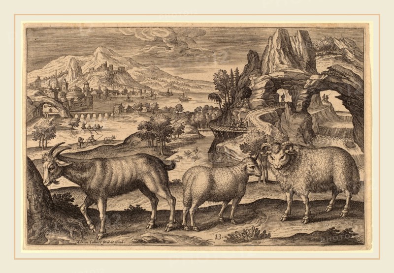 Adriaen Collaert (Flemish, c. 1560-1618), Animalium Quadrupedum, engraving