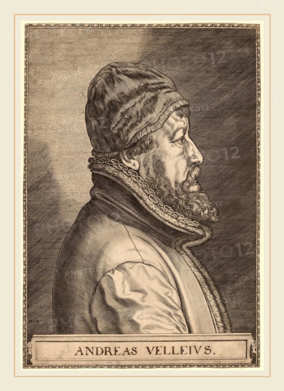 Johan Wierix (Flemish, c. 1549-1615 or after), Andreas Velleius (Anders Sorensen Vedel), engraving on laid paper