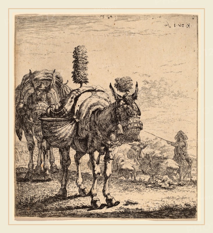 Karel Dujardin (Dutch, c. 1622-1678), Two Mules, etching