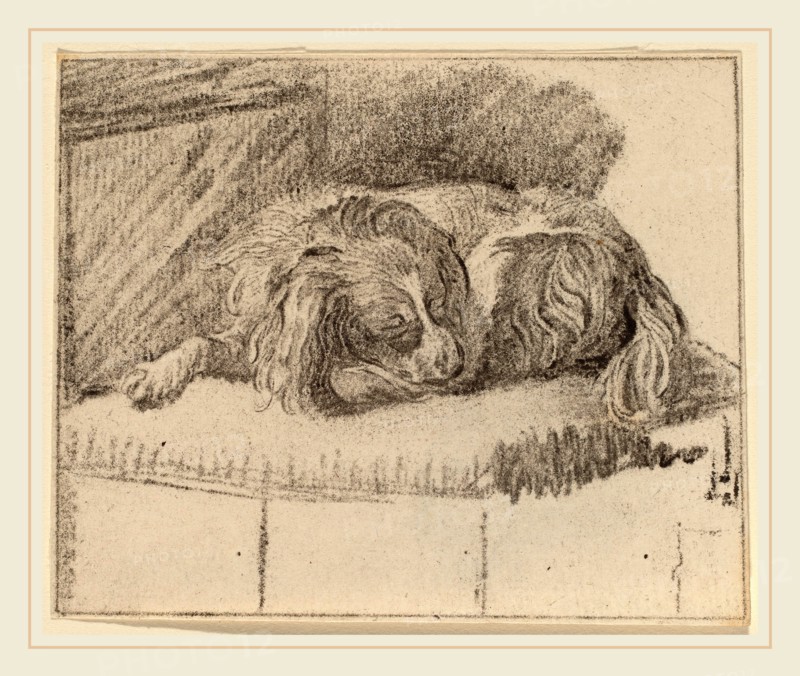 Cornelis Ploos van Amstel and Cornelis Brouwer after Frans van Mieris (Dutch, active second half 18th century), Lying Dog, 1777, transfer technique