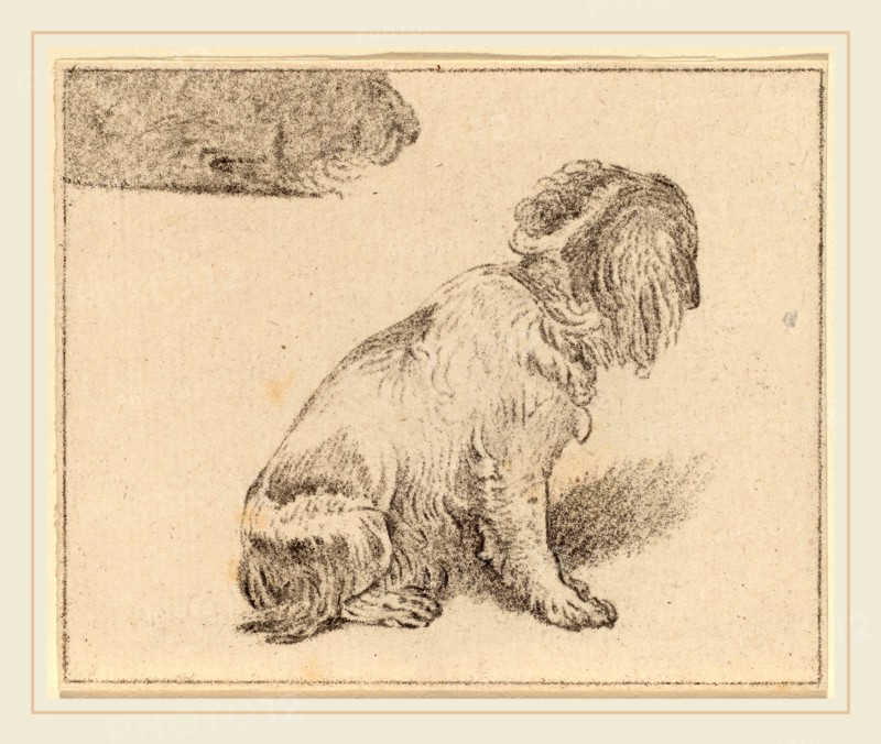 Cornelis Ploos van Amstel and Cornelis Brouwer after Frans van Mieris (Dutch, 1726-1798), Seated Dog, 1777, transfer technique
