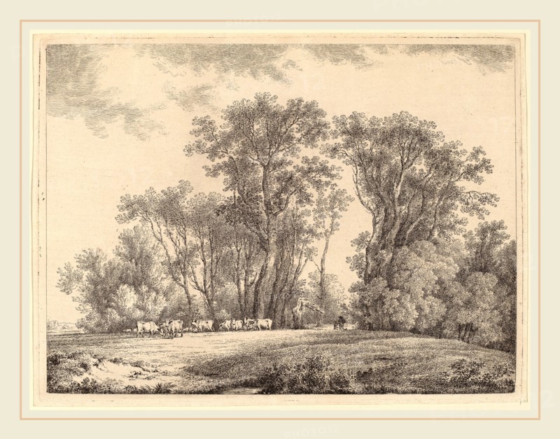 Martin von Molitor (Austrian, 1759-1812), A Meadow with Cattle at the Edge of a Wood, c. 1790, etching on laid paper (proof)