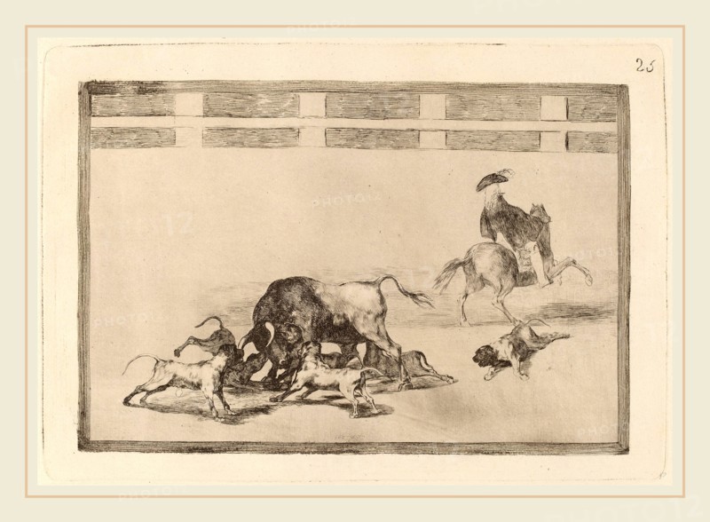 Francisco de Goya, Echan perros al toro (They Loose Dogs on the Bull), Spanish, 1746-1828, in or before 1816, etching, burnished aquatint and drypoint [first edition impression]