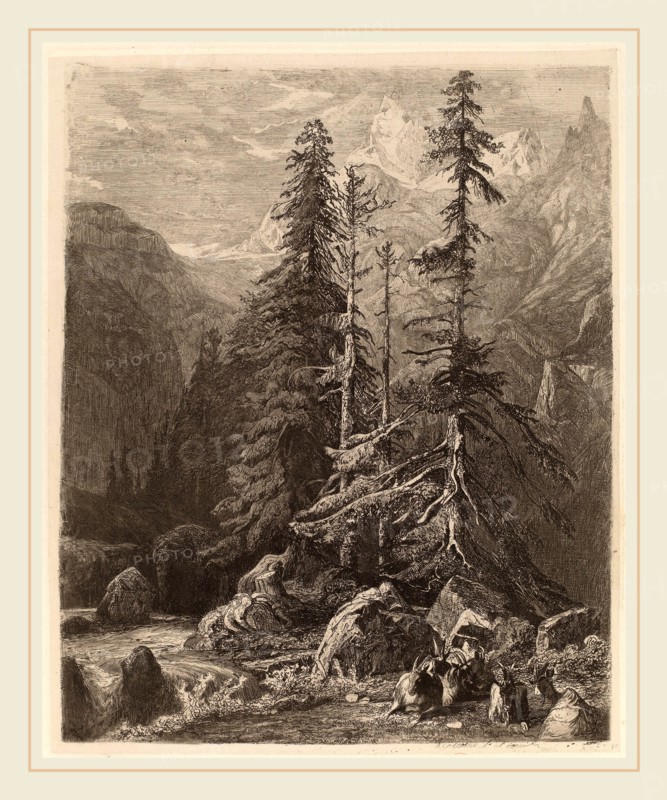 Alexandre Calame, Essais de gravure Ã  l'eau forte par Alexandre Calame, I, pl. 21, Swiss, 1810-1864, 1838, etching and roulette on chine collé
