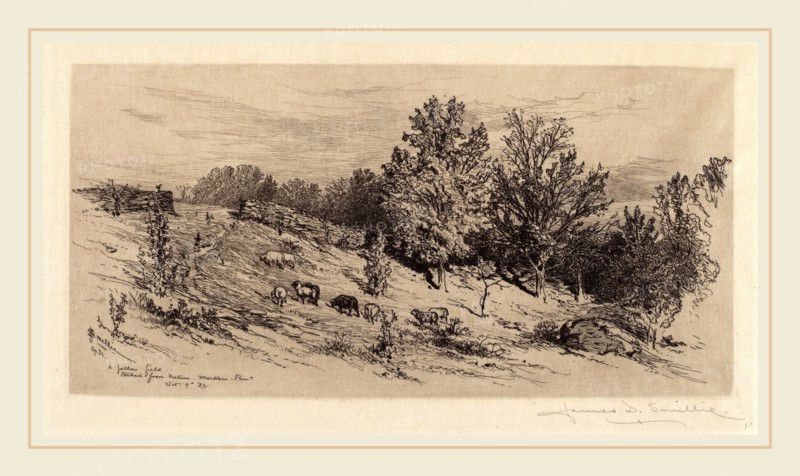 James David Smillie, A Fallow Field, American, 1833-1909, 1883, etching in black on Japan paper