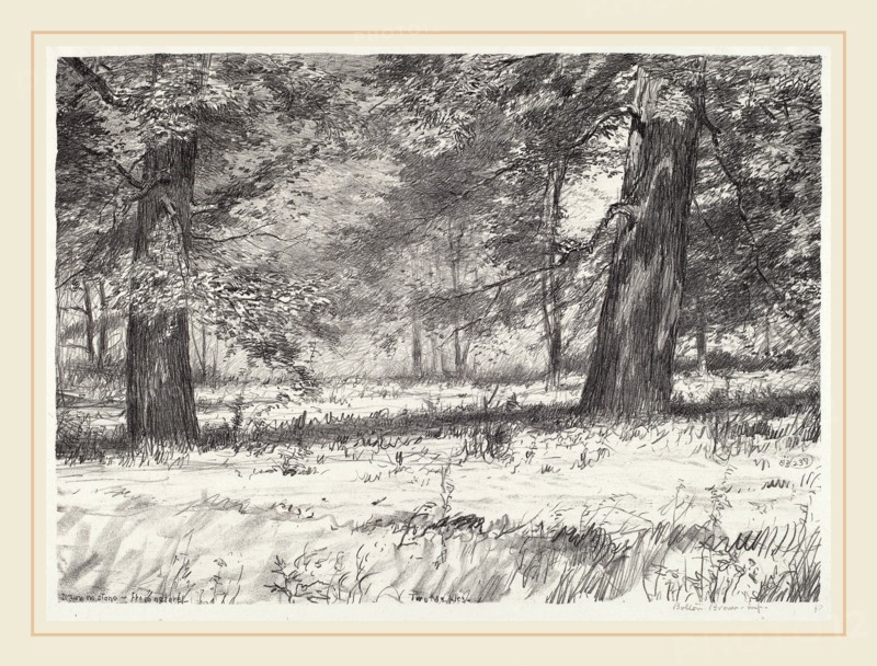 Bolton Brown, Two Maples, American, 1865-1936, 1920, lithograph