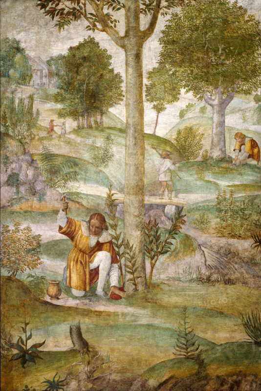 Bernardino Luini, Cephalus Hiding the Jewels, Italian, c. 1480-1532, c. 1520-1522, fresco
