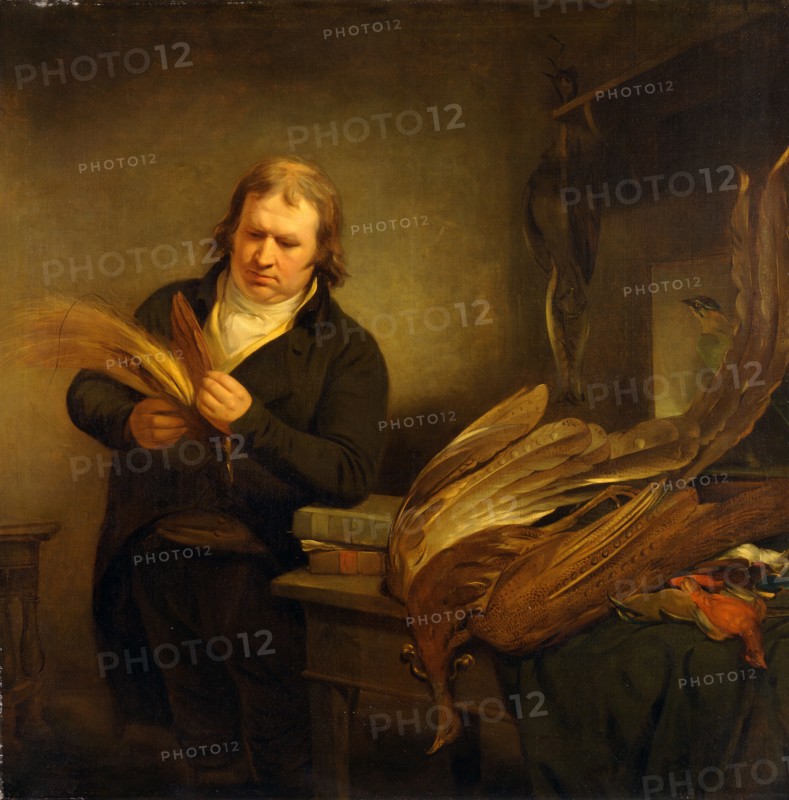 An Ornithologist, Probably John Latham An Ornithologist, Probably Mr. Thomson, Animal and Bird Preserver to the Leverian and British Museums (Previously Identified as Dr. John Latham), 1802 Dr. John Latham, Ramsay Richard Reinagle, 1775-1862, British