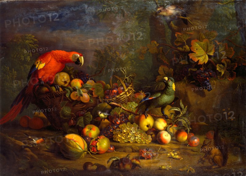 Parrots and Fruit with Other Birds and a Squirrel Signed, lower right: "T. Stranover", Tobias Stranover, 1684-after 1735, German