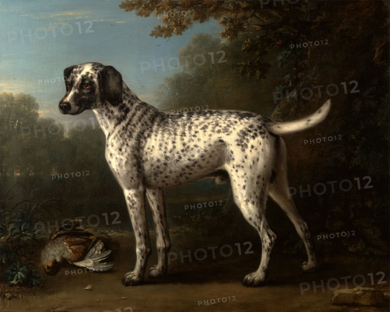 A Grey Spotted Hound Signed, lower right: "J. Wootton [pinx?]", John Wootton, 1682-1764, British