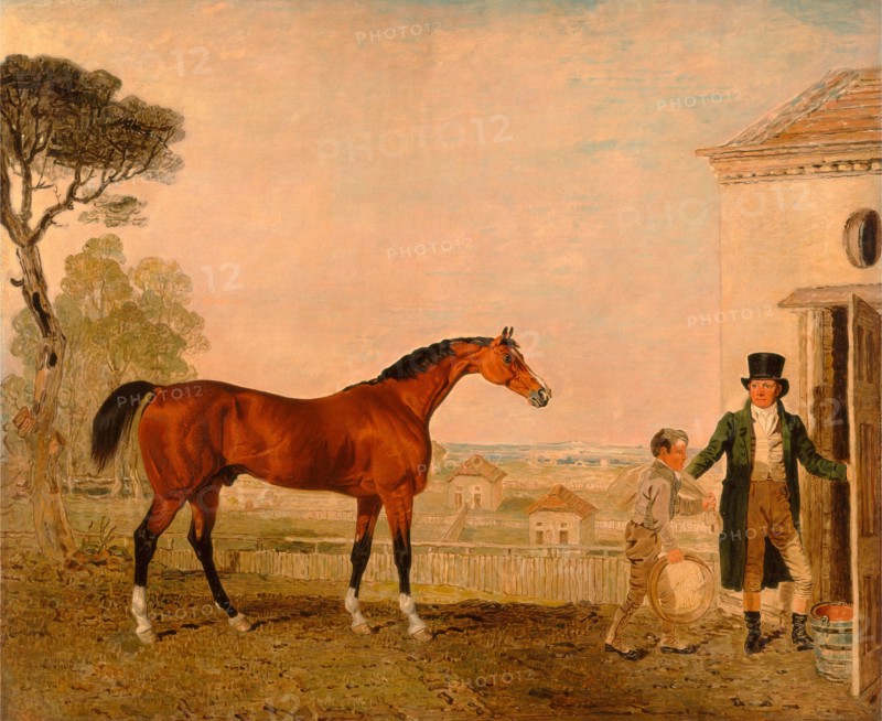 Sultan' at the Marquess of Exeter's Stud, Burghley House, Lambert Marshall, 1810-1870, British