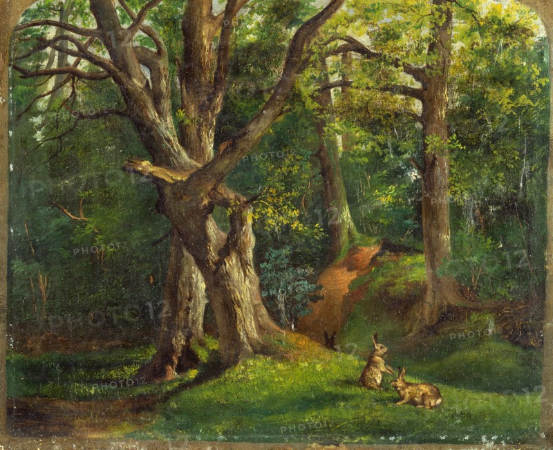 Woodland scene with rabbits Possibly signed, lower right: "[Hube??]", Sir Hubert von Herkomer, 1849-1914, British
