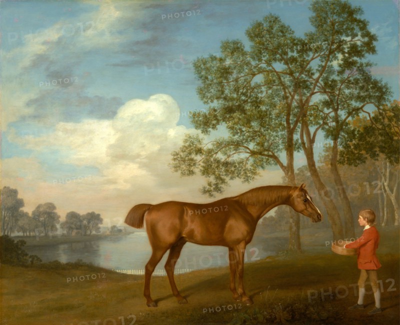 Pumpkin with a Stable-lad Signed and dated, lower right: "Geo: Stubbs pinxit | 1774", George Stubbs, 1724-1806, British
