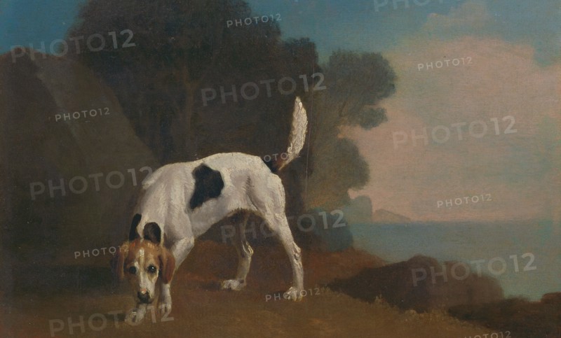 Foxhound Foxhound on the Scent, George Stubbs, 1724-1806, British