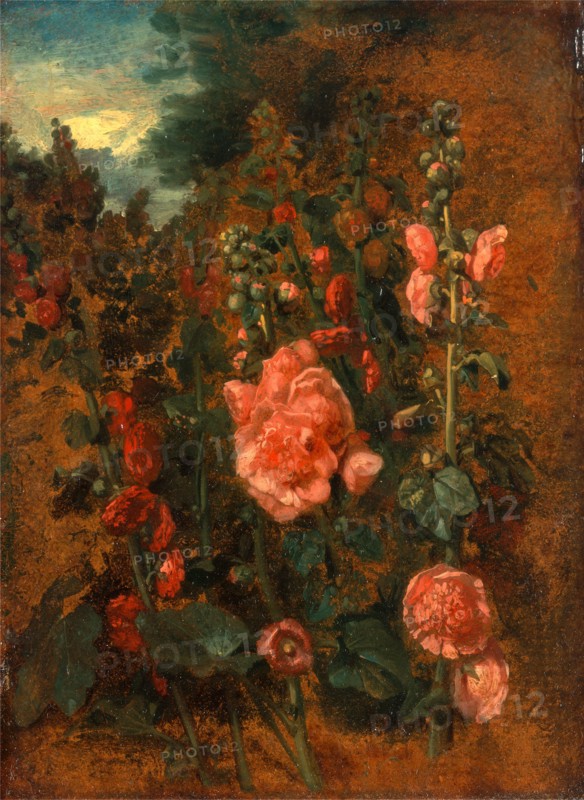 Study of Hollyhocks Hollyhocks, Attributed to John Constable, 1776-1837, British