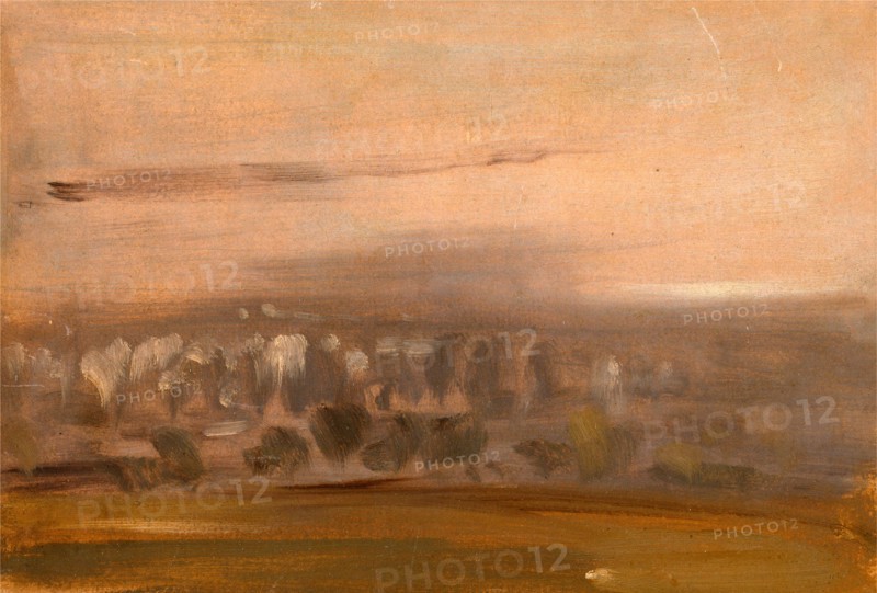 Landscape with Trees on a Slope, unknown artist, 19th century, British