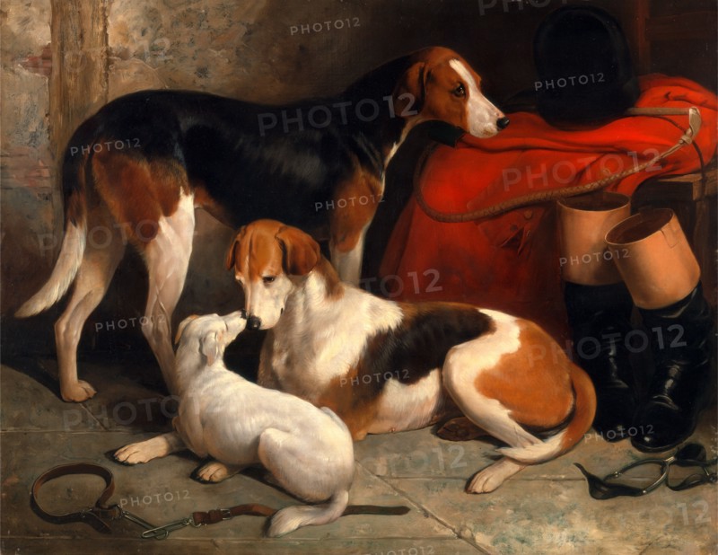 A Couple of Foxhounds with a Terrier, the property of Lord Henry Bentinck Couple of foxhounds, the property of Lord Henry Bentinck, with a Jack Russell terrier A Couple of Lord Henry Bentinck's Foxhounds with a Terrier Signed, lower left: "Willm Barraud", William Barraud, 1810-1850, British