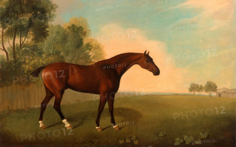 A Bay Horse in a Field Horse in a Landscape Signed and dated, lower right: "JB [in monogram] 1778", John Boultbee, 1753-1812, British