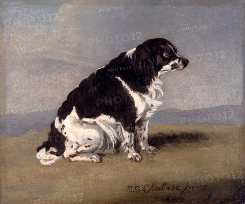 The Duchess of York's Spaniel Signed and dated, lower right: "H. B. Chalon | 1804", Henry Bernard Chalon, 1771-1849, British