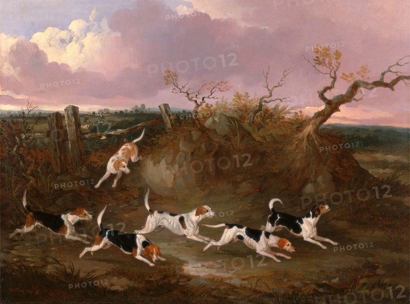 Beagles in Full Cry Harriers Signed and dated in orange color paint, lower left: "Dalby, 1845", John Dalby, active 1826-1853, British