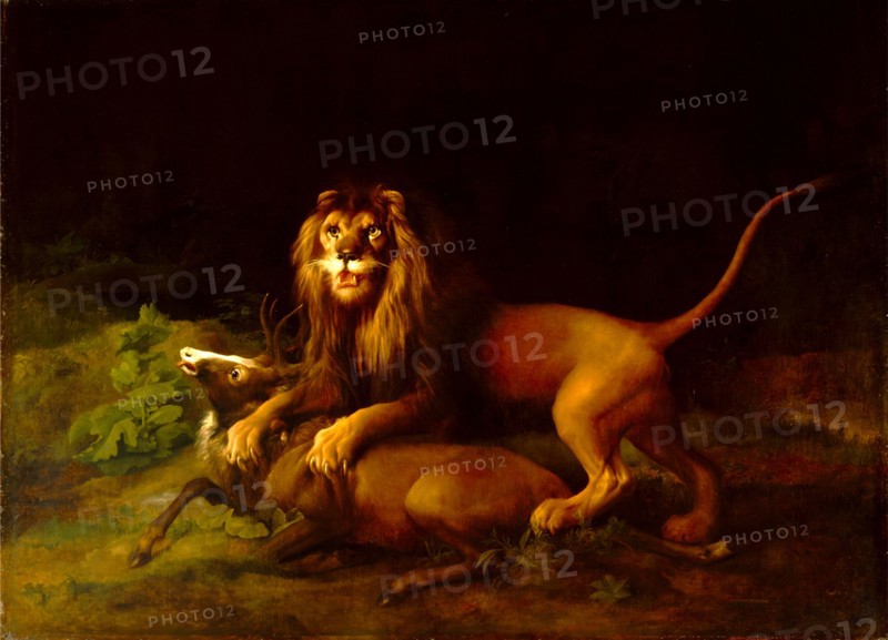 A Lion Attacking a Stag Lion devouring a stag, George Stubbs, 1724-1806, British