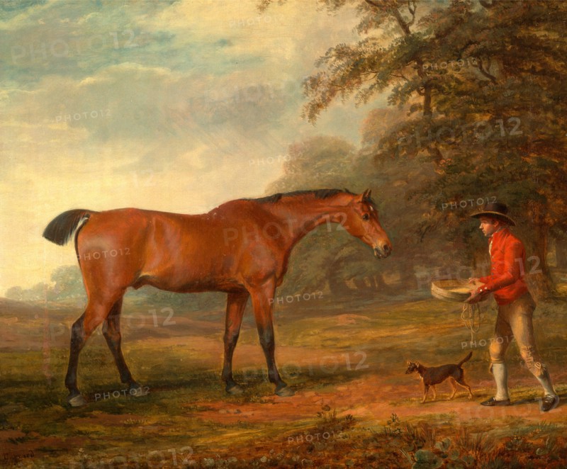 A Bay Horse Approached by a Stable-Lad with Food and a Halter Signed and dated in brown paint, lower left: "Garrard | 1789", George Garrard, 1760-1826, British