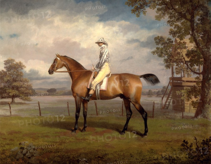 Portrait of a Racehorse, Possibly Disguise, the Property of the Duke of Hamilton, with Jockey Up ? The Duke of Hamilton's Disguise with Jockey Up Racehorse with Jockey up Signed and dated, lower right: "g garrard | 17 6", George Garrard, 1760-1826, British