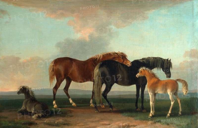 Mares and Foals, facing right, Sawrey Gilpin, 1733-1807, British