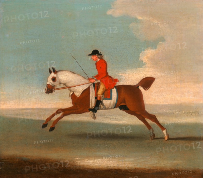One of Four Portraits of Horses - a Chestnut Racehorse Exercised by a Trainer in a Red Coat: galloping to the left, the horse wearing white sweat covers on head, neck and body Galloping Racehorse and mounted Jockey in Red, Attributed to James Seymour, 1702-1752, British