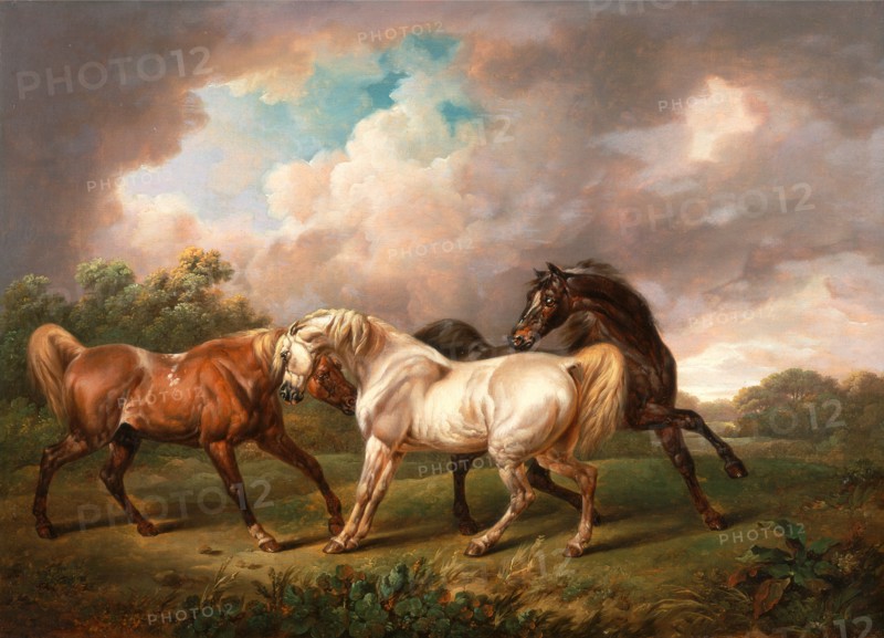 Three Horses in a Stormy Landscape Two Stallions and a Mare in a Stormy Landscape Signed and dated, black paint, lower left: "Chas Towne | 1836", Charles Towne, 1763-1840, British