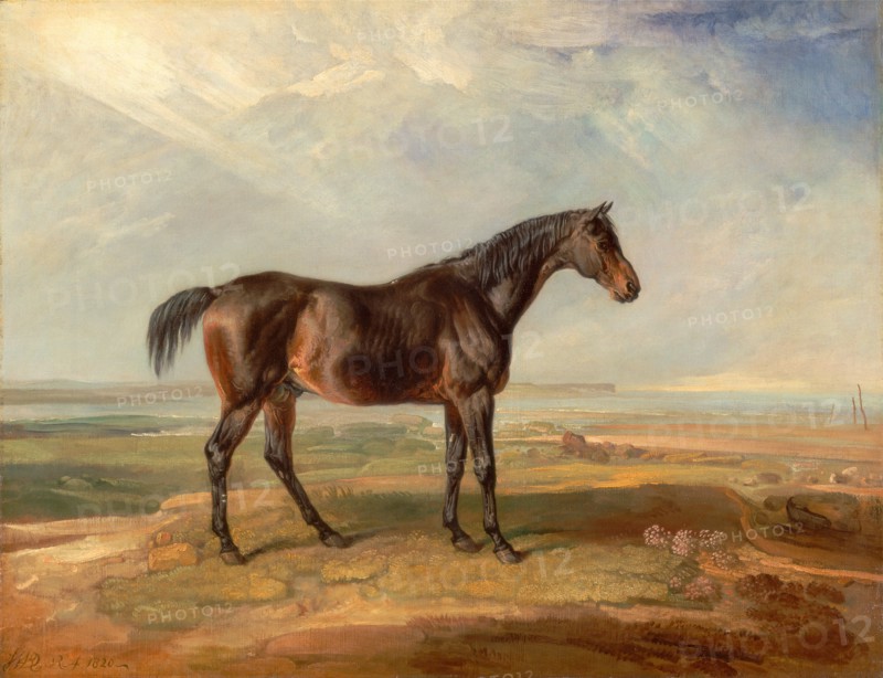 Dr. Syntax, a Bay Racehorse, Standing in a Coastal Landscape, an Estuary Beyond Signed and dated, lower left: "JWARD [monogram] RA 1820 ~", James Ward, 1769-1859, British