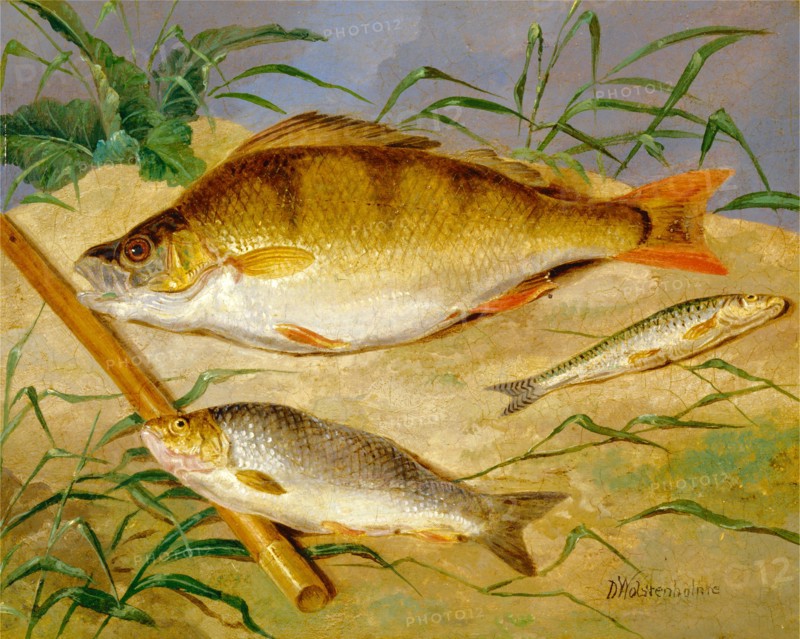 An Angler's Catch of Coarse Fish The Angler's Trophies Signed in black paint, lower right: "D Wolstenholme", Dean Wolstenholme, 1798-1882, British