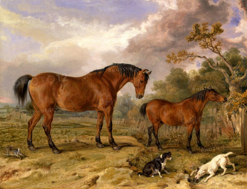 Portrait of Reformer, Blucher, Tory and Crib, the Property of Rowland Alston, Esq., M.P. Reformer, Blucher, Tory and Crib, Animals Owned by Rowland Alston, M.P. of Pishobury Signed and dated in brown paint, lower right: "JWARD [monogram] RA. 1835", James Ward, 1769-1859, British