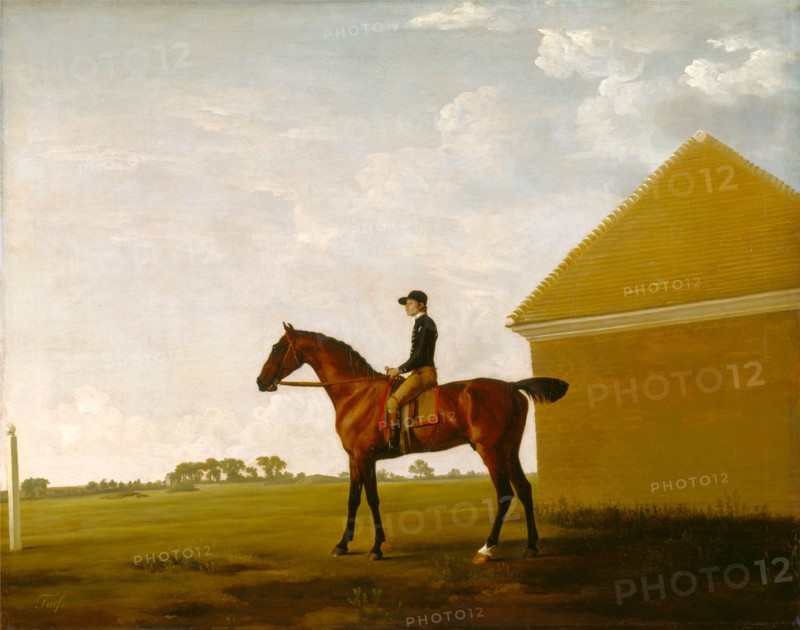 Turf, with Jockey up, at Newmarket Portrait of 'Turf' with Jockey up Inscribed lower left: "Turf", George Stubbs, 1724-1806, British