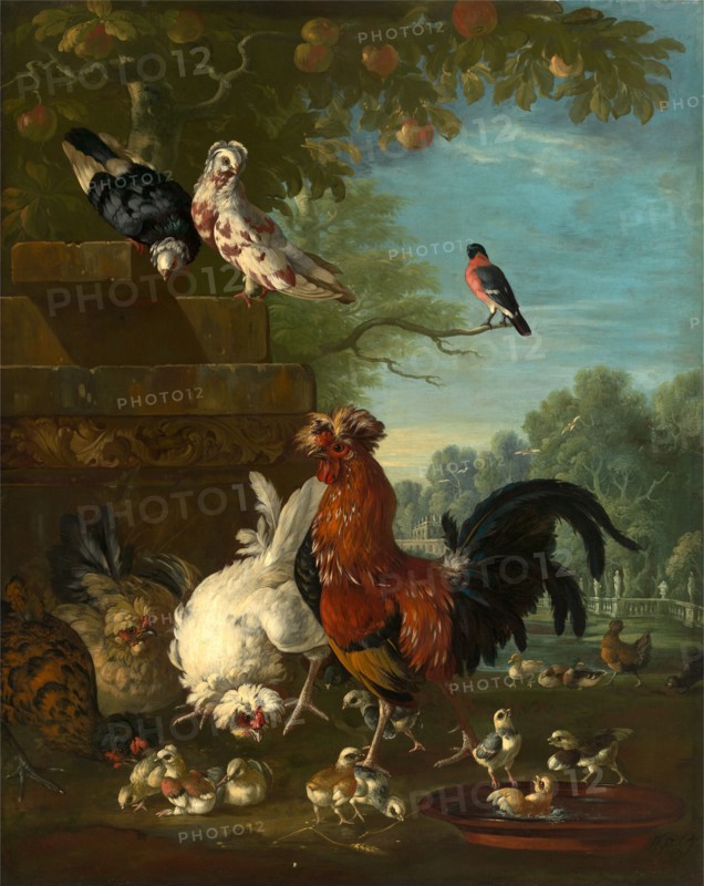 Domestic cock, hens, and chicks in a park Signed and dated, lower left: "PCasteels [P?] | 1730", Peter Casteels, 1684-1749, Flemish