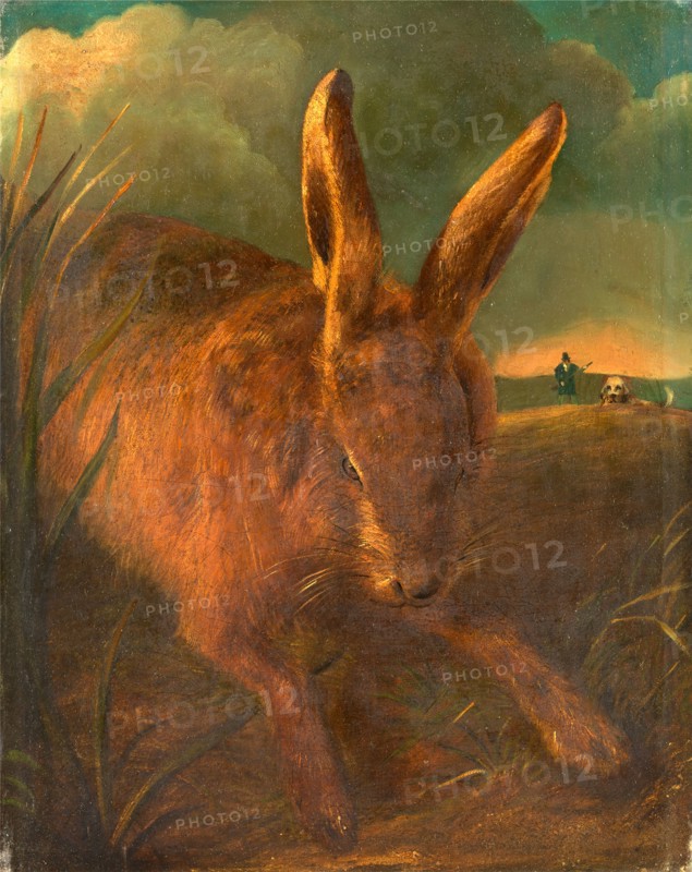 Hare Hunting A Rabbit with Hunter and Dog in the Background, Philip Reinagle, 1749-1833, British