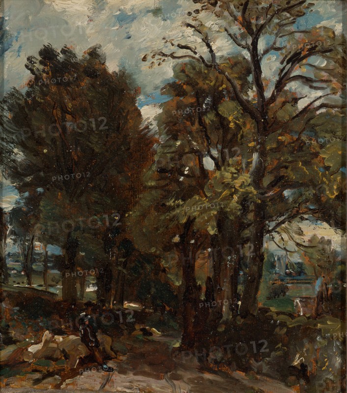 Fen Lane, East Bergholt Sketch of a Lane at East Bergholt, John Constable, 1776-1837, British