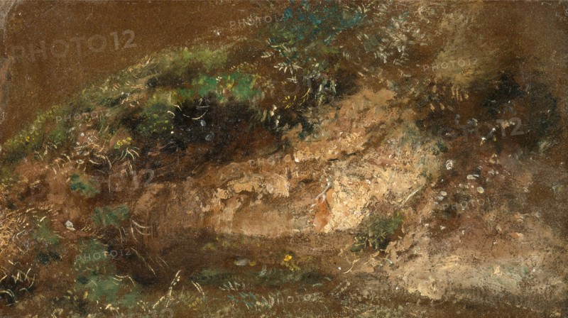 Undergrowth, John Constable, 1776-1837, British