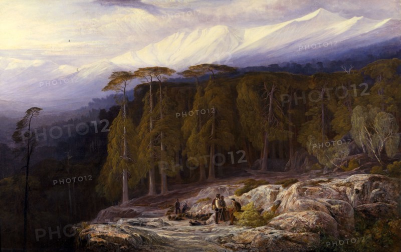 The Forest of Valdoniello, Corsica Monogrammed in lower right, Edward Lear, 1812-1888, British