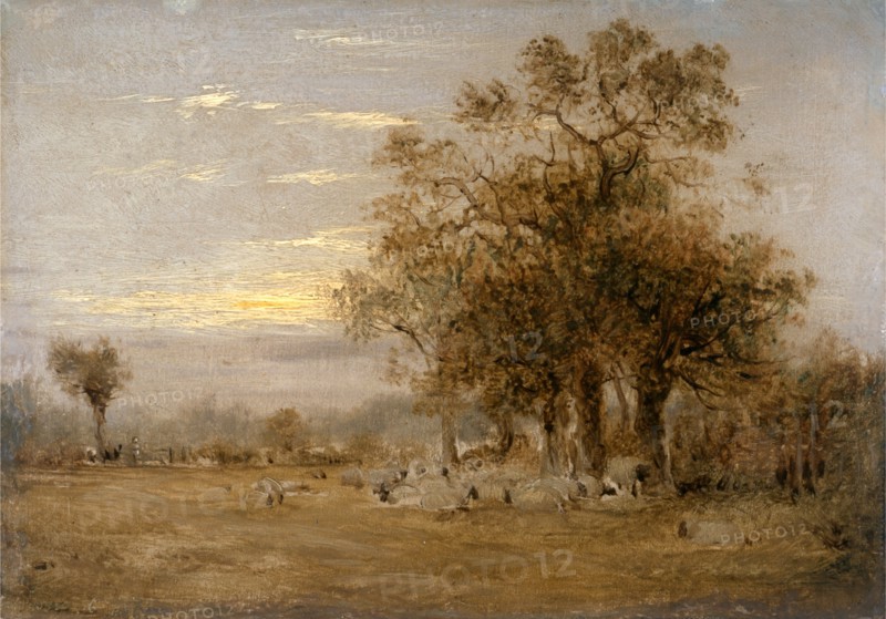 Sheep Grazing Dated in yellow paint, lower left: "June 16 18 [...]", John Linnell, 1792-1882, British