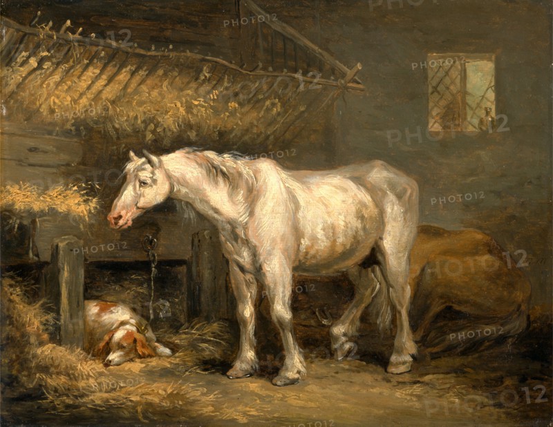 Old horses with a dog in a stable, George Morland, 1763-1804, British