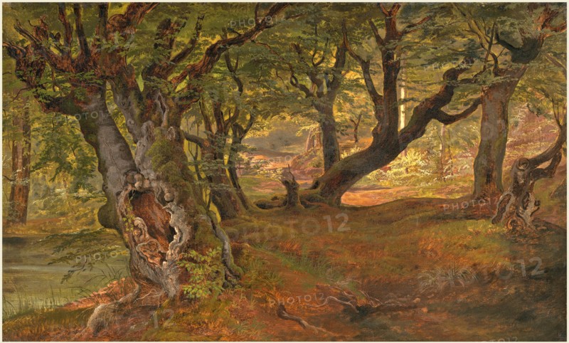 Frederik SÃ¸dring (Danish, 1809-1862), View of Bregentved Forest, Sjaeeland, mid 1830s, oil on canvas