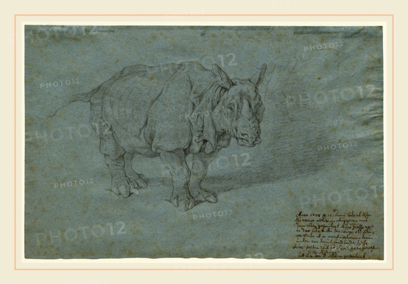 Johann Elias Ridinger, German (1698-1767), The Rhinoceros "Miss Clara", 1748, black chalk on blue laid paper